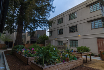 University Avenue Cooperative Homes project