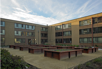 Rotary Plaza project
